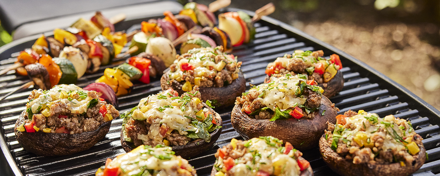 Q 2800N+ Gas Grill (Liquid Propane) | Weber US